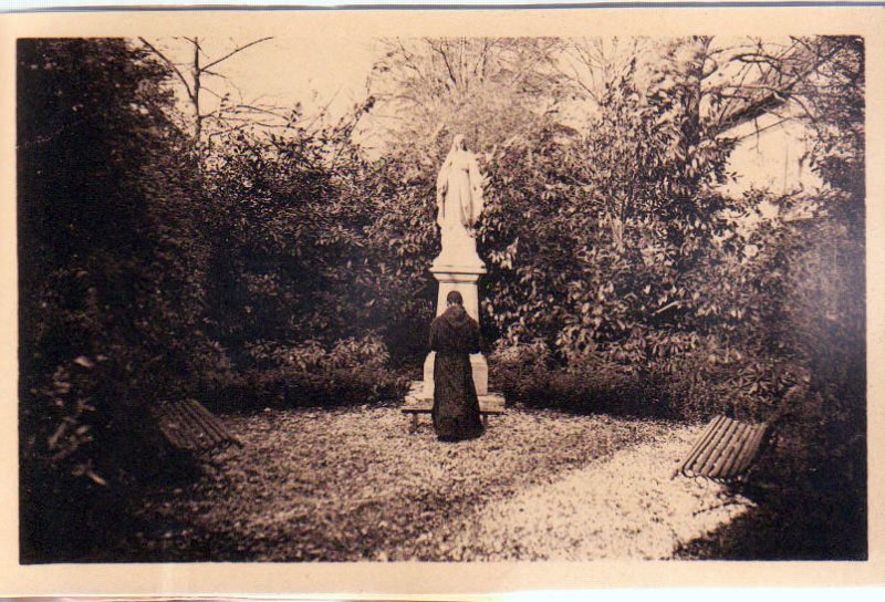 Original image